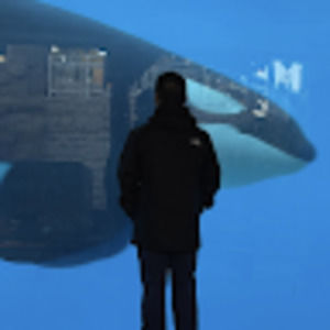 Meet your Posher, Sin